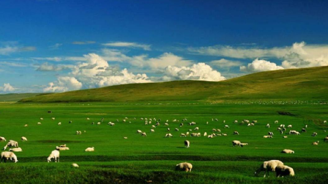 内蒙古的自然风光景点有哪些?
