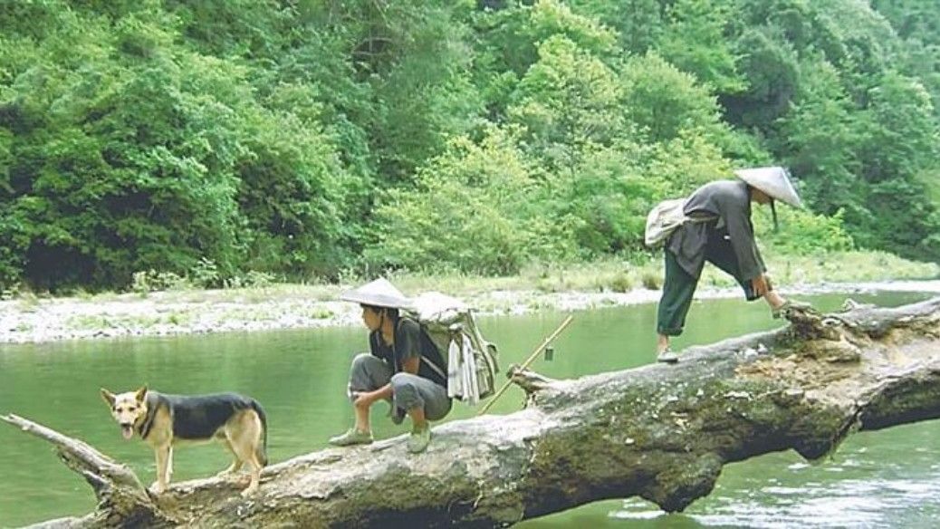 5分钟看完国产电影《那山那人那狗,国内没人看而国外场场爆