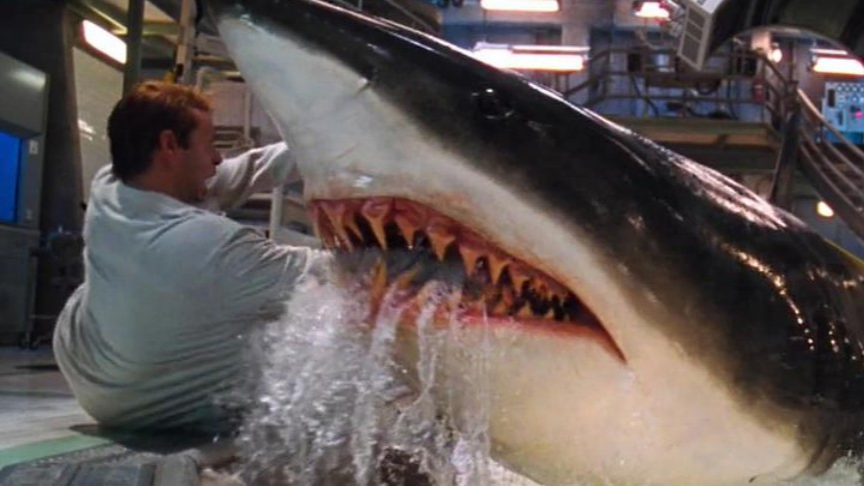 《深海狂鲨》美女大战高智商食人鲨