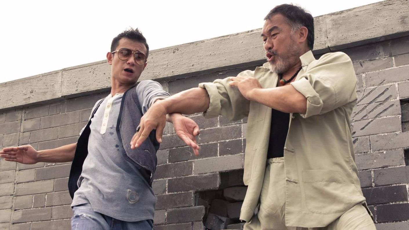讲述了神探王不二在同事黄飞红和女上司的协助下,破获由女演员刘金水