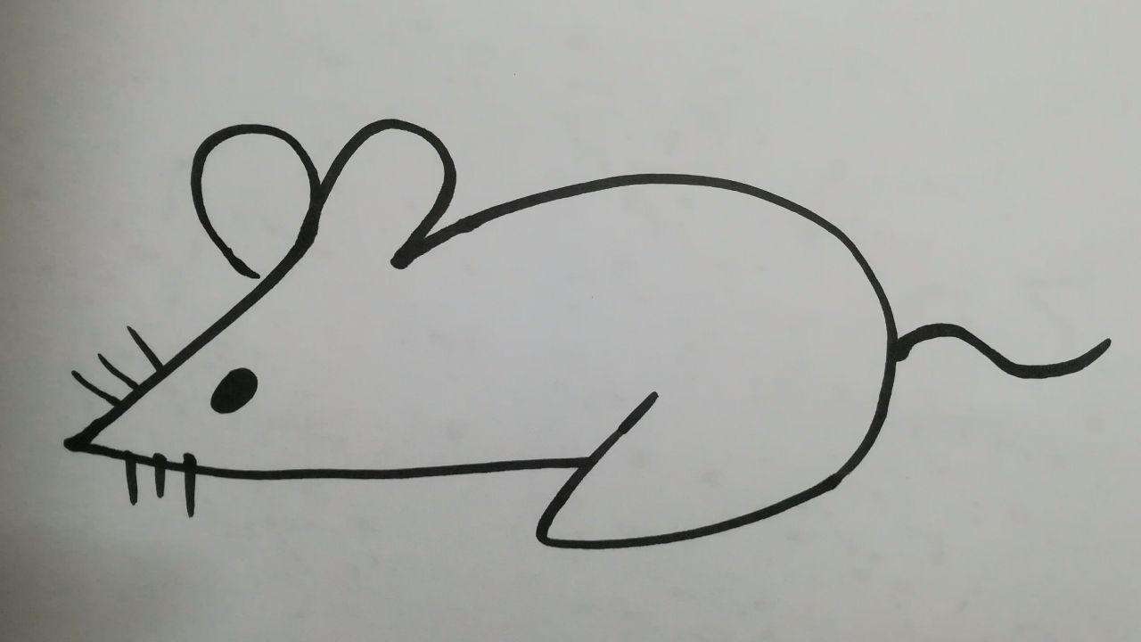 亲子早教简笔画:数字23画小老鼠,很简单2笔即可完成