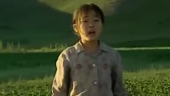 国产十大催泪感人电影