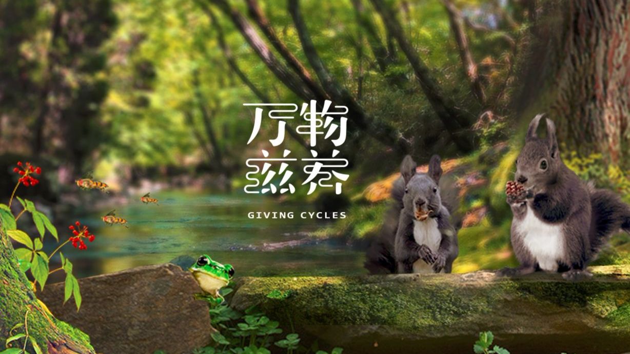 万物滋养第二季:烤全牛,最美味的火锅,夏季美食霸屏,瘦不了