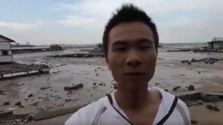 赶海抓螃蟹