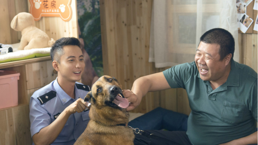 《警犬来啦》精彩片段速看,杨蓉化身警花,与一只警犬