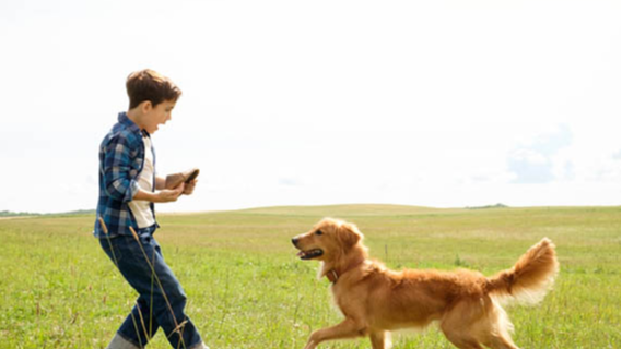 10部让你感动到丧失理智的温馨影片,总有一部