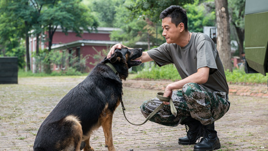 推荐十部军事题材电视剧,全是经典好剧,不喜勿喷哦!