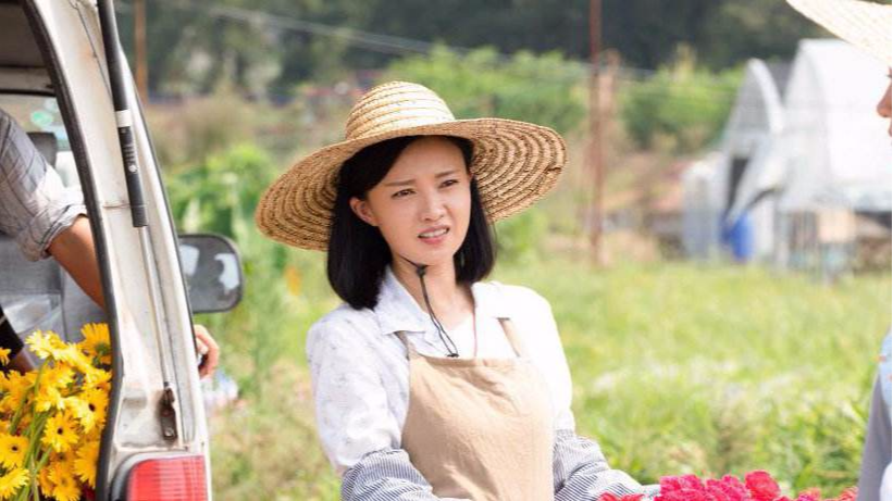 励志剧麦香精彩片段合集展现农村振兴路上的军人力量9个视频