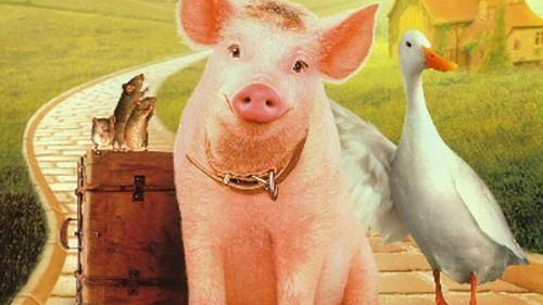 盘点十部有关猪的经典电影,在这些电影里它们有着别样的风采!