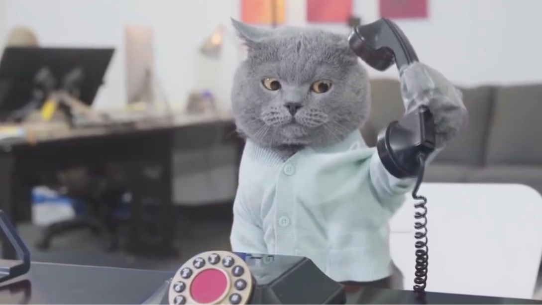 4  01:43  来源:好看视频-用四川话给动物们配音,这脑洞有趣,笑了