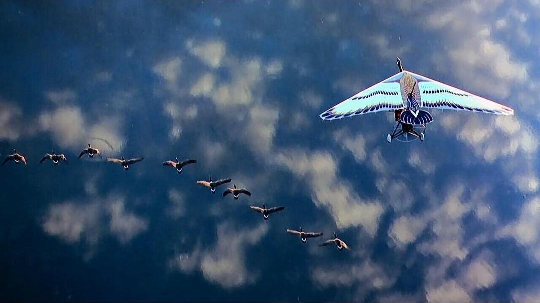 一部充满爱的电影:《伴你高飞》