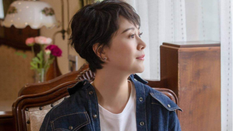 盘点娱乐圈10位75后女明星,陈数袁泉李小冉,都是实力派