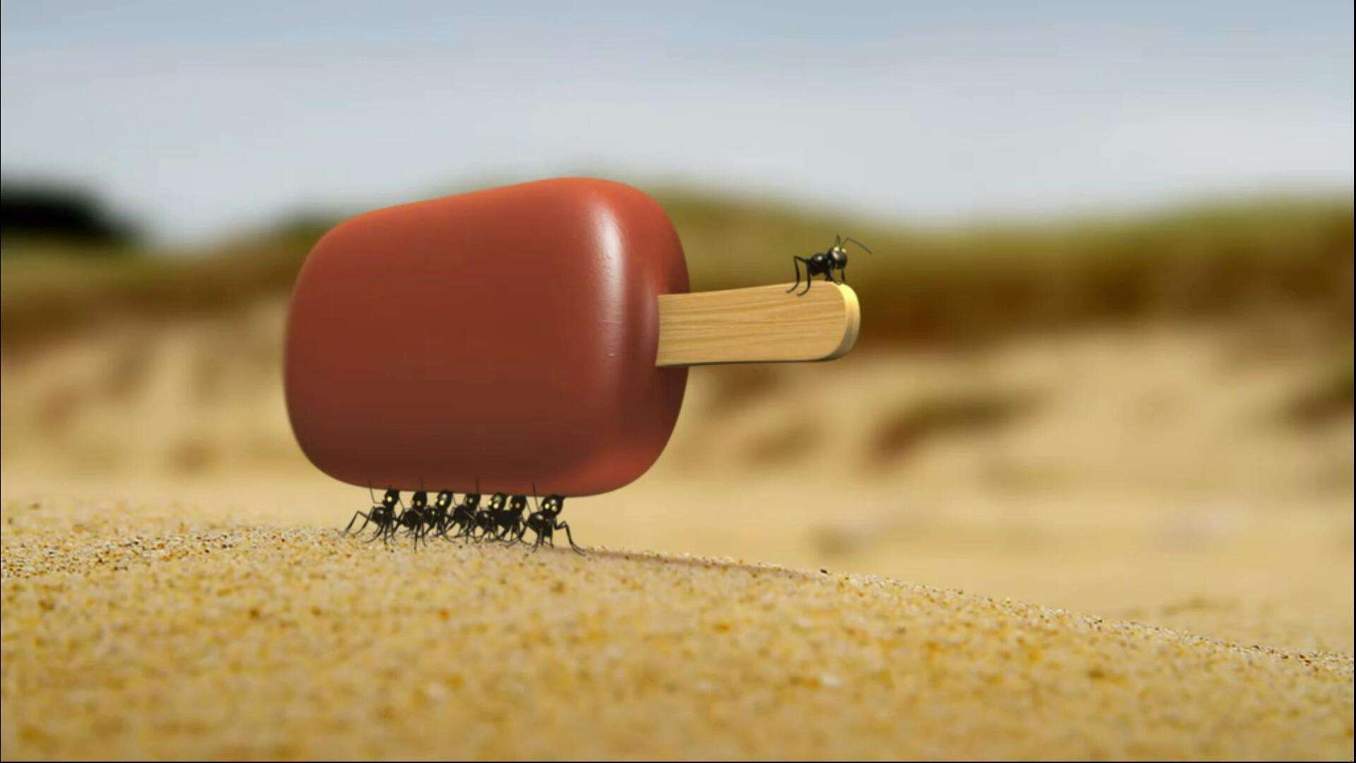昆虫总动员:蚂蚁抬冰棍回家,他们能感受到冷么?