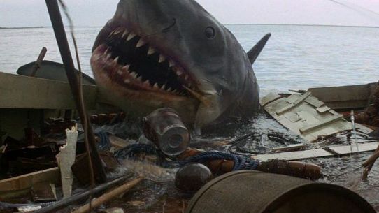 满分推荐10部高分恐怖电影,恐怖剧迷的最爱,慎点!