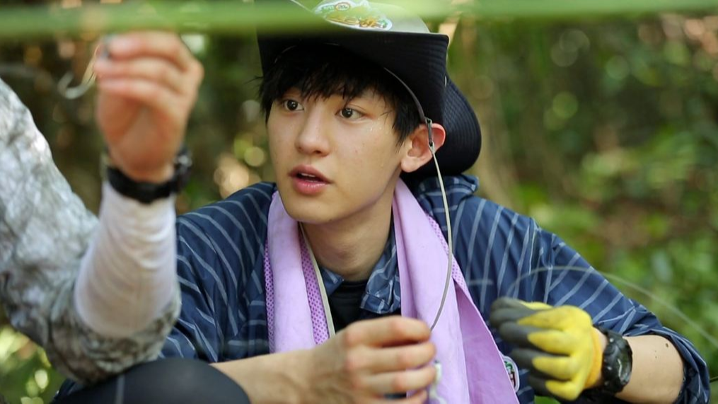 电影赏析丛林法则5个视频