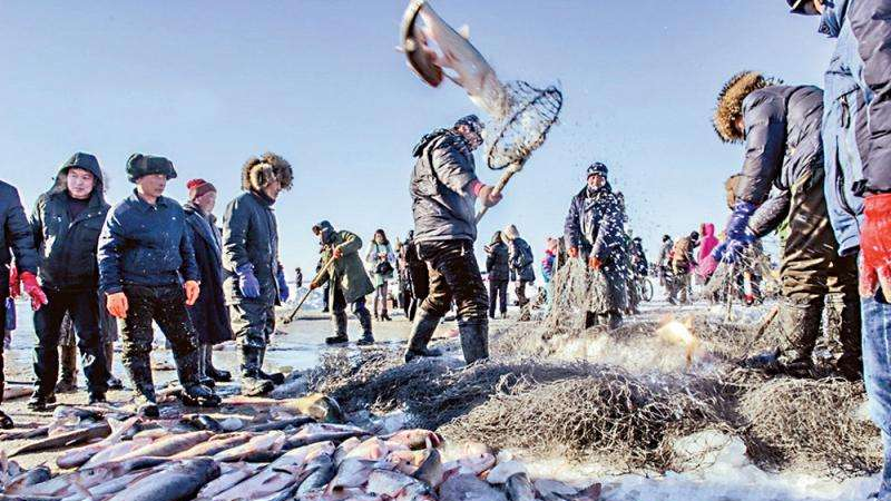 吉林:2018查干湖冬捕正在進行,這麼多條魚一起來看看