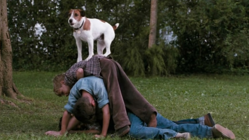 最优秀的狗狗电影,带你体验人狗之间最真挚的情感!
