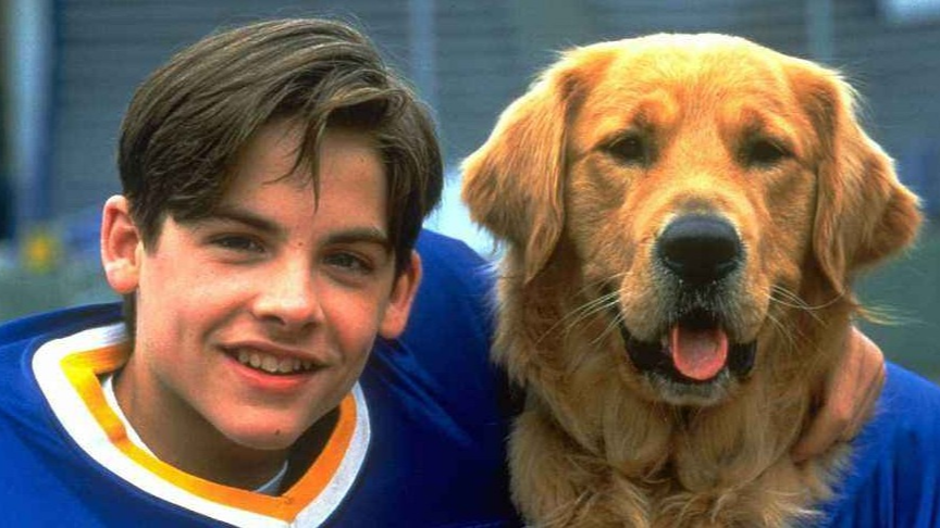 关于狗狗的9部含泪电影,人类的忠实朋友,爱狗人士必看