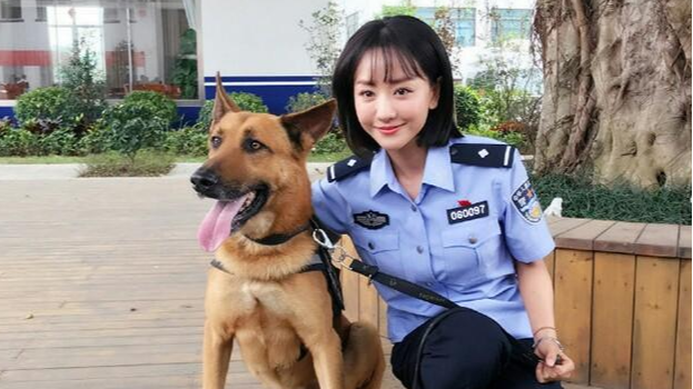 警犬来啦:警犬华哨见到美女就想扑,谁料遇到女强人,被打脸了