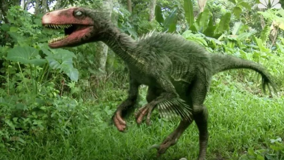 《侏羅紀公園》系列電影10個視頻,看的人心惶惶,畫面太逼真了!