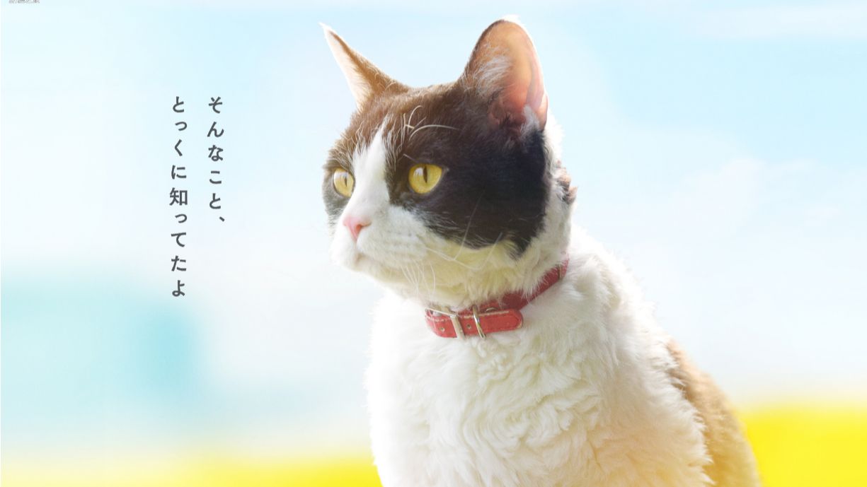 全网资源