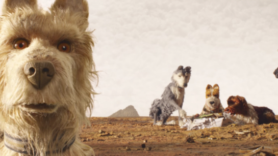 感人至深几部最感人的狗狗题材电影请备足纸巾