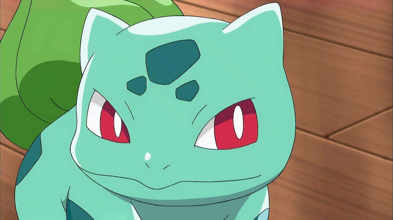 神奇宝贝,莎莉娜第一次见到妙蛙种子,但这只妙蛙种子有点高冷