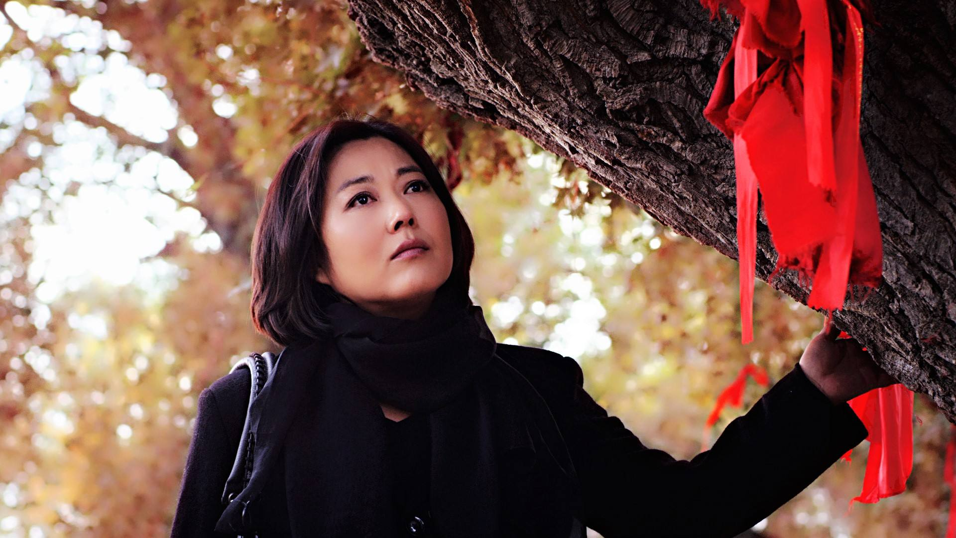 8部农村题材电视剧,每一部都值得细细体味